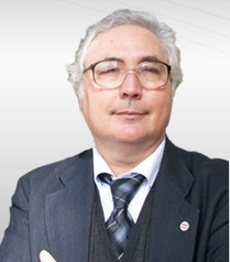 Manuel Castells speaker 